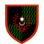 1st Air Assault Regiment