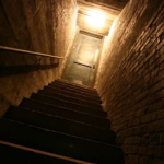 Moxie's Basement