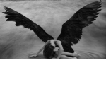 The Faithless Angels!