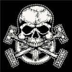 Elite Special Force (E.S.F.)