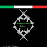 NEW PROJET ERLC