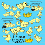 Baby Ducks Group!