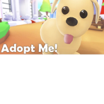 STAND FOR ADOPT ME