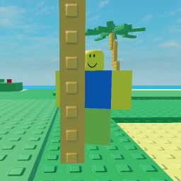 🔍 Find the Noob