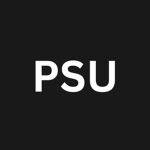 Polіce Support Unit