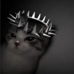 #cozycat