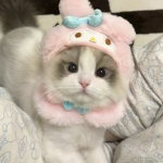 - | Kimmbit army | -