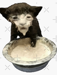 yolkerz