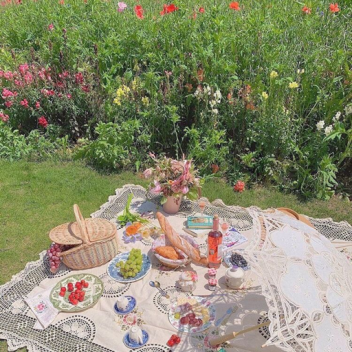 🥞🐸 picnic 🍎🥪