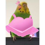 Akavado