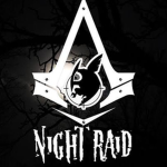 *Night Raid*