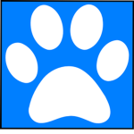 Small paw Studios