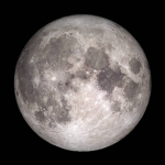 The Moon Servants