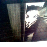 The SCP Lore page.