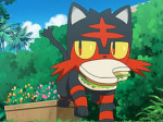 If u love cats u may join