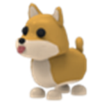 The Cool Shiba Gang