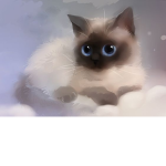 CATTY CAT = (Smores)