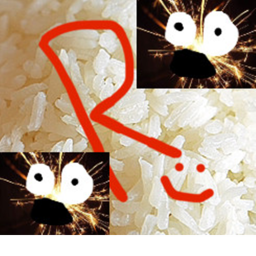 SHRINE OF EPIC RICE SPARKS