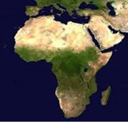 African Cafe (RP) (PARADISE)