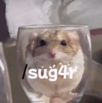 /sug4r