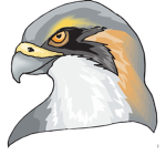 Ninja hawks