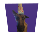 party rex