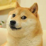 PFNJIOLJSFKBNIOSF