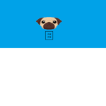 cute little pugs123