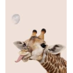 Gucci Giraffes Gang