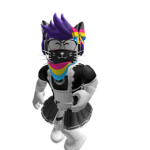 catmaid Acadamey