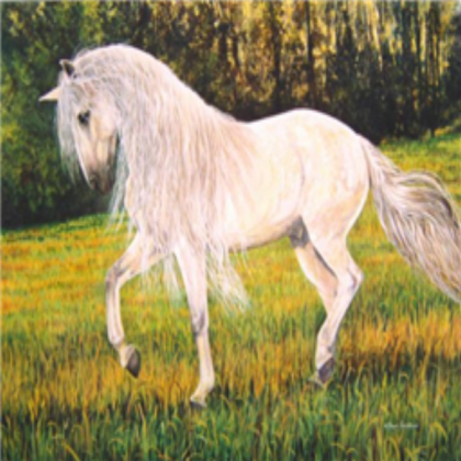 white horse in meadow Roblox decal