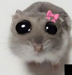 Julianalaqueen