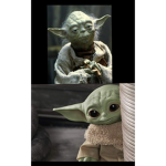 The Yoda Gang <(• _ •)>