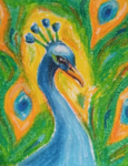 Pavo Studio