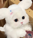 馬特奧馬特羅伯特馬泰解放的