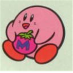the kiby wariors