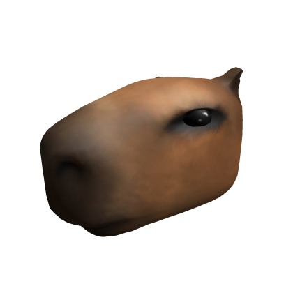 Capybara Head