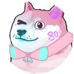 800th Doge