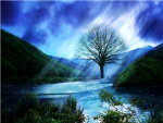W.T.T.W. Or Water Tree To War