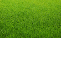 touch grass simulater