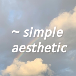 simple aesthetic homestore