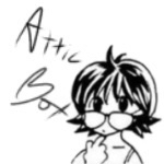 attic box
