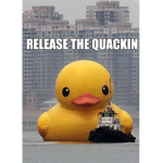 DUCK GROUP!!