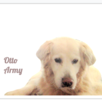 Otto Army