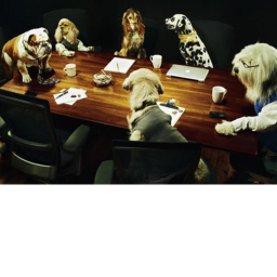 meetings
