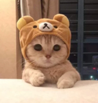 H34RT's Friend Group