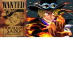 sabo robux