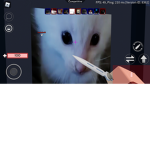 Rndom