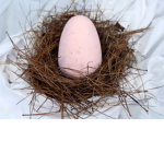 EEGISEM