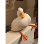 Meagan_388